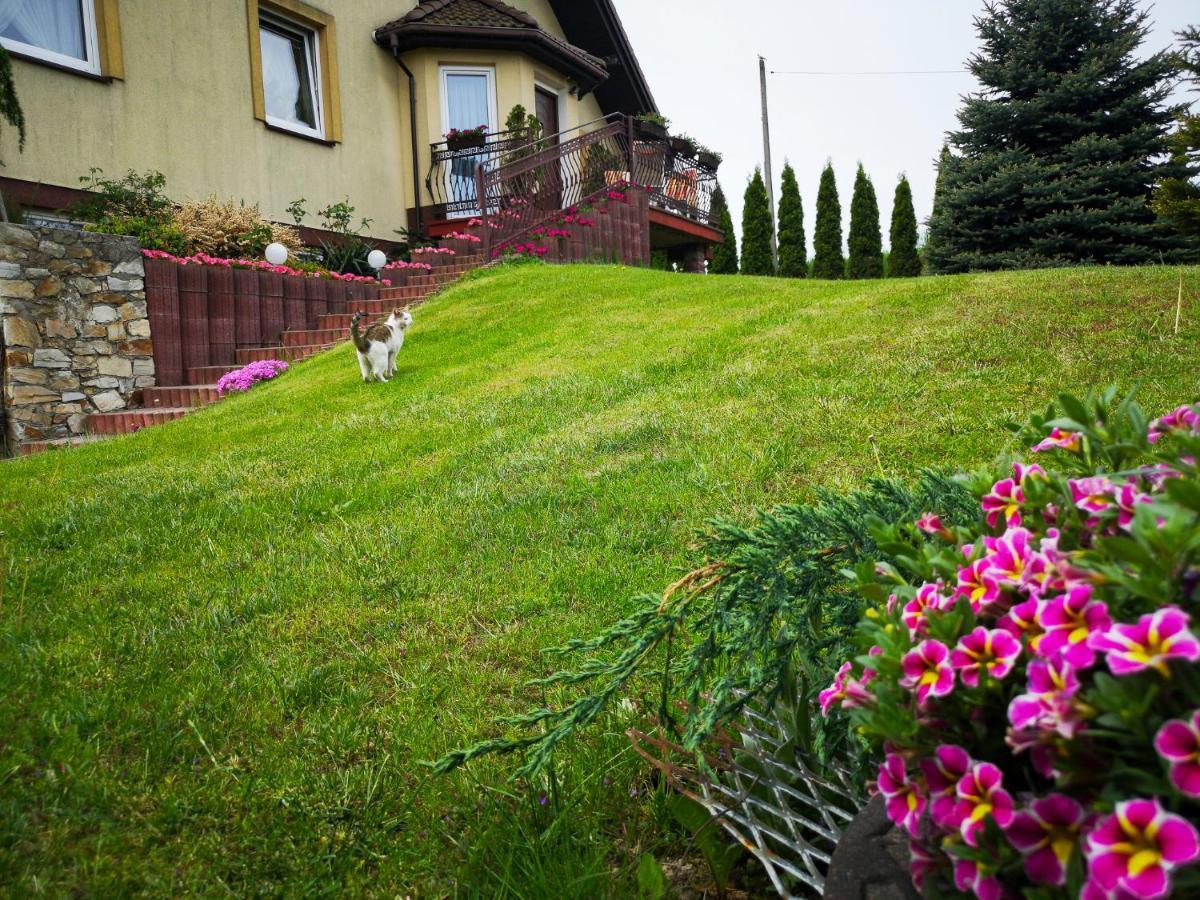 Swierkowy Zakatek Gorno  Exterior foto